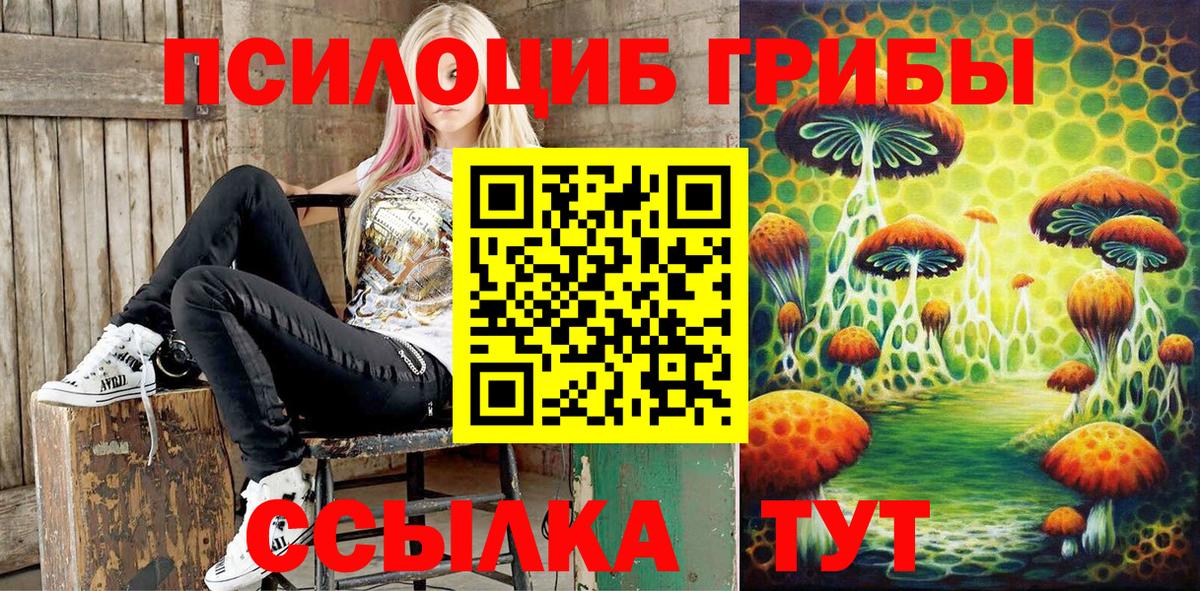 Галлюциногенные грибы Psilocybine cubensis  Вход с VPN  Оренбург  Галлюциногенные грибы GOLDEN TEACHER 